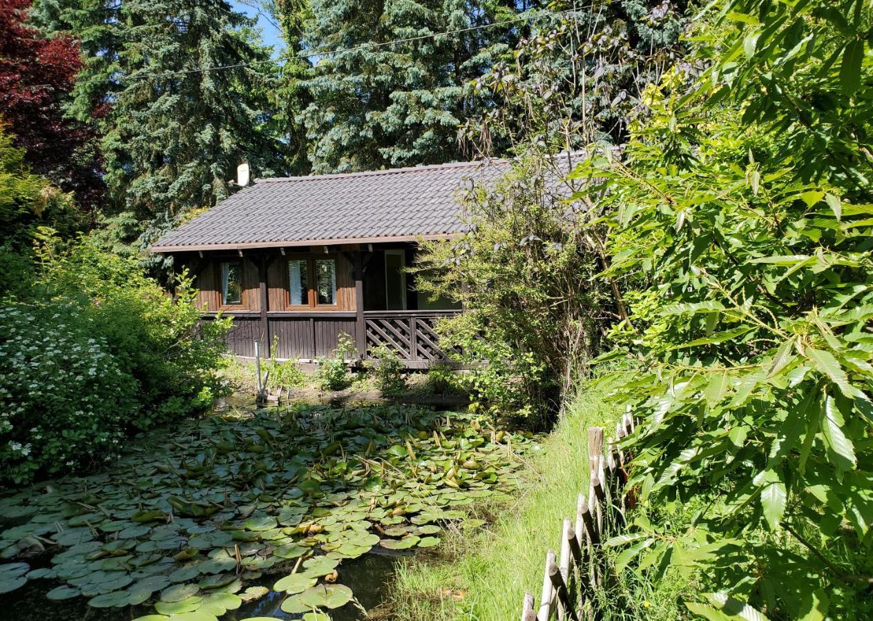 Dankowska Dolina Villa Eksteriør billede